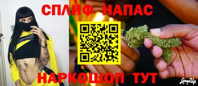 прущие грибы Можайск